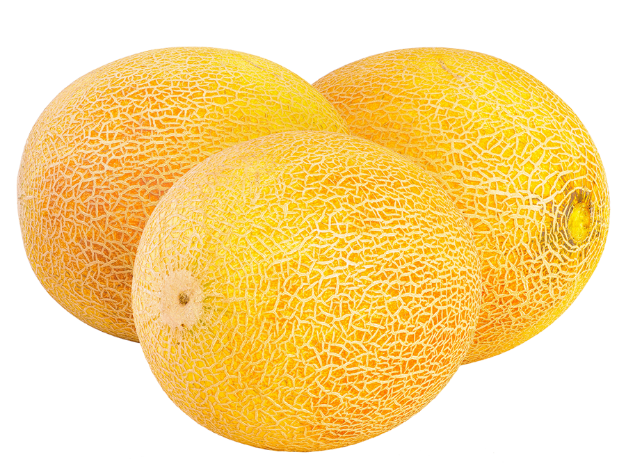 melons